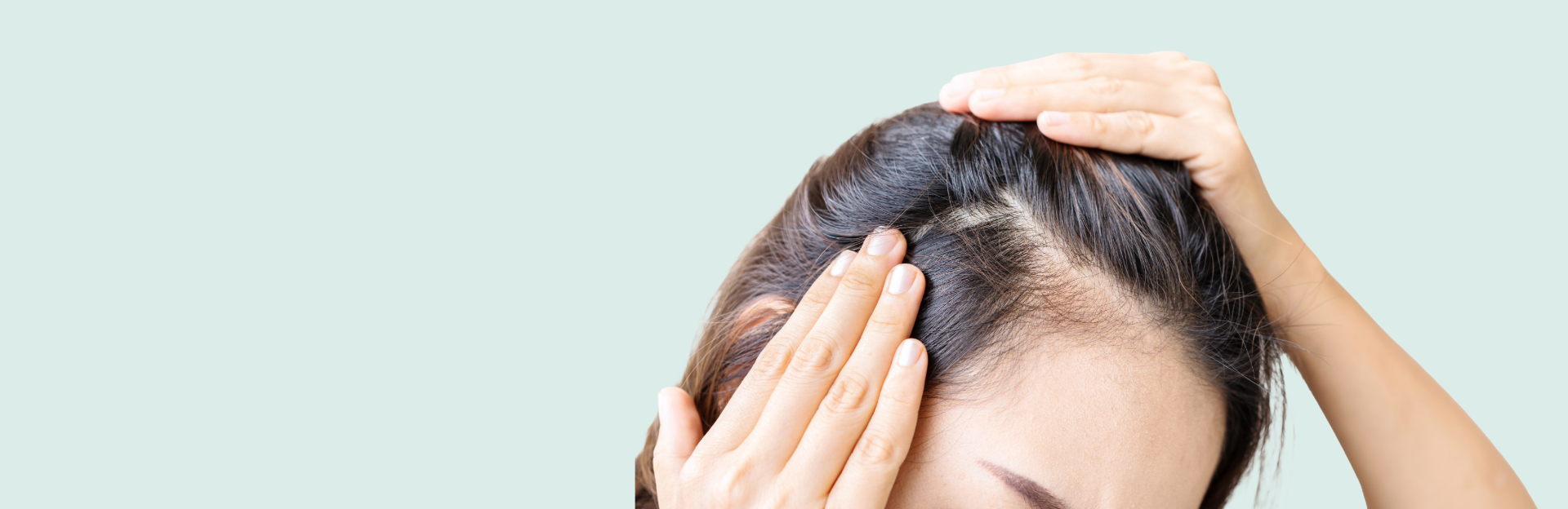 Hair and Brow